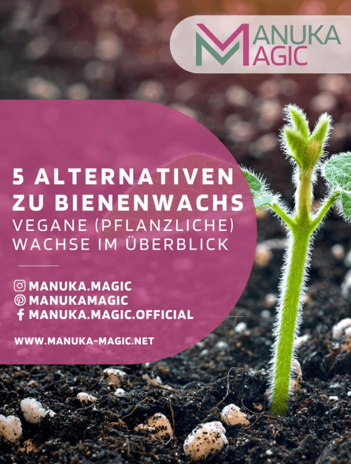 5 Vegane ALternativen Bienenwachs Vegan