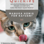 Manuka Honig für Katzen Katzennahrung Katze