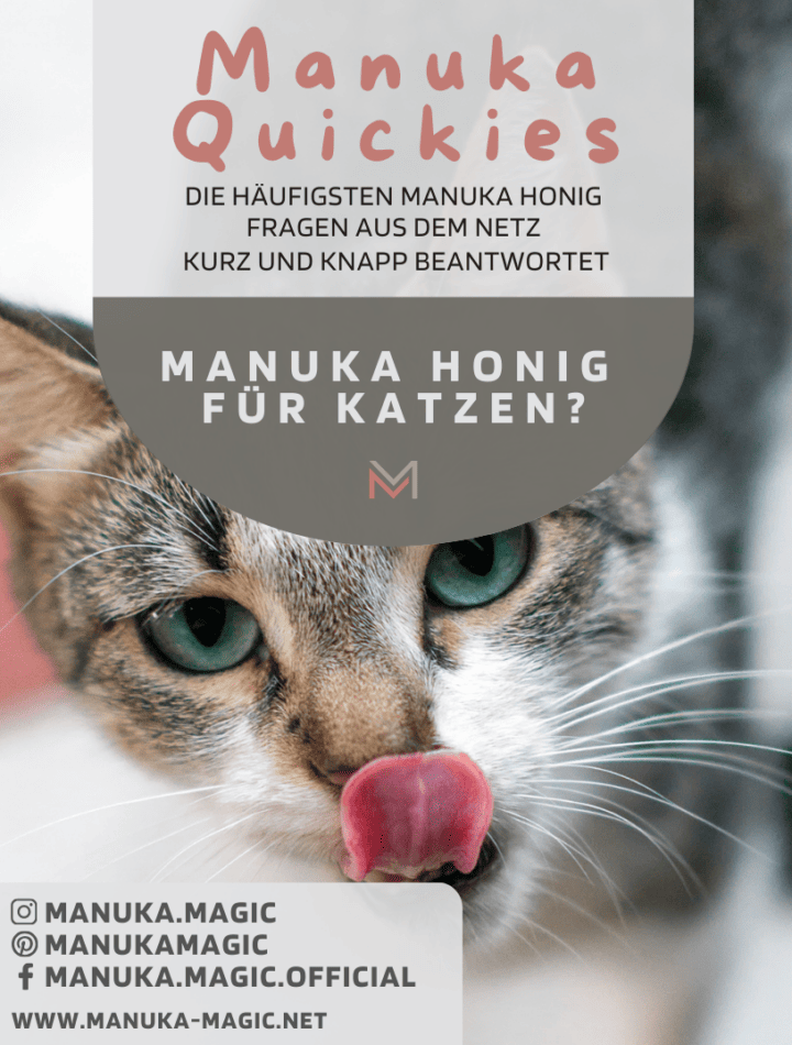 Manuka Honig für Katzen Katzennahrung Katze