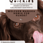 Welcher Manuka Honig für Hunde