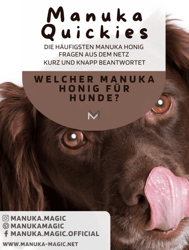 Welcher Manuka Honig für Hunde